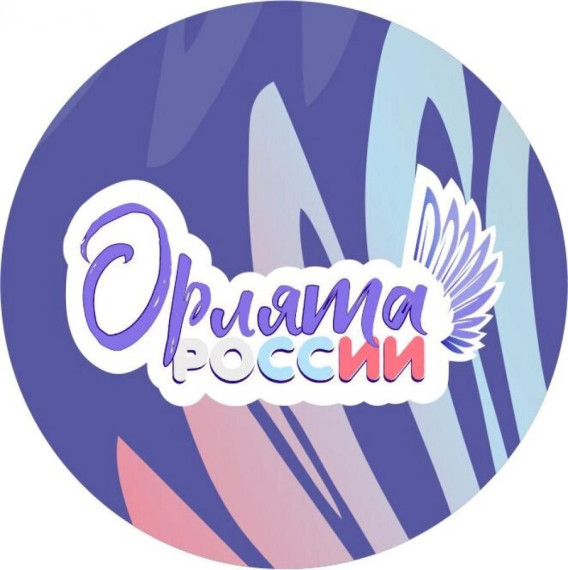 Краевой семинар-практикум «Программа развития социальной активности обучающихся начальных классов «Орлята России»».